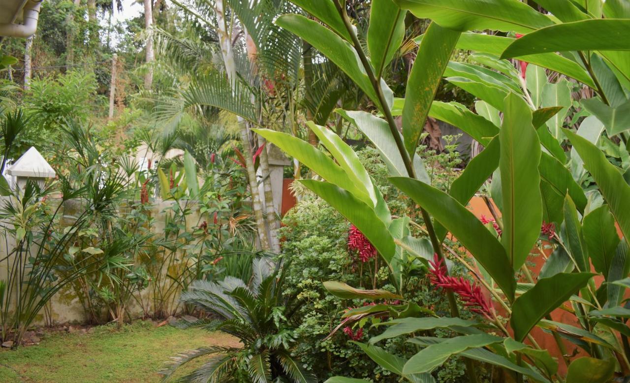 Sunbird Bungalow Anse Boileau Bagian luar foto