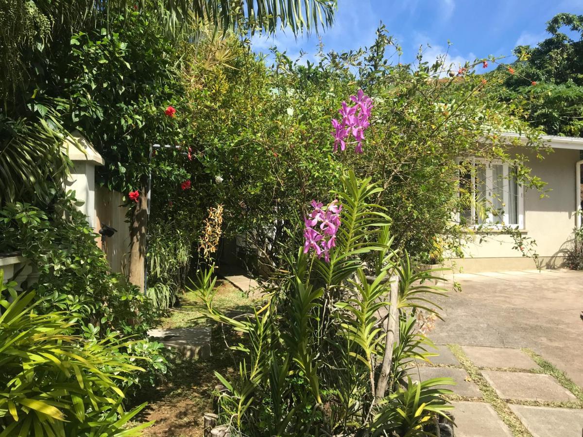 Sunbird Bungalow Anse Boileau Bagian luar foto