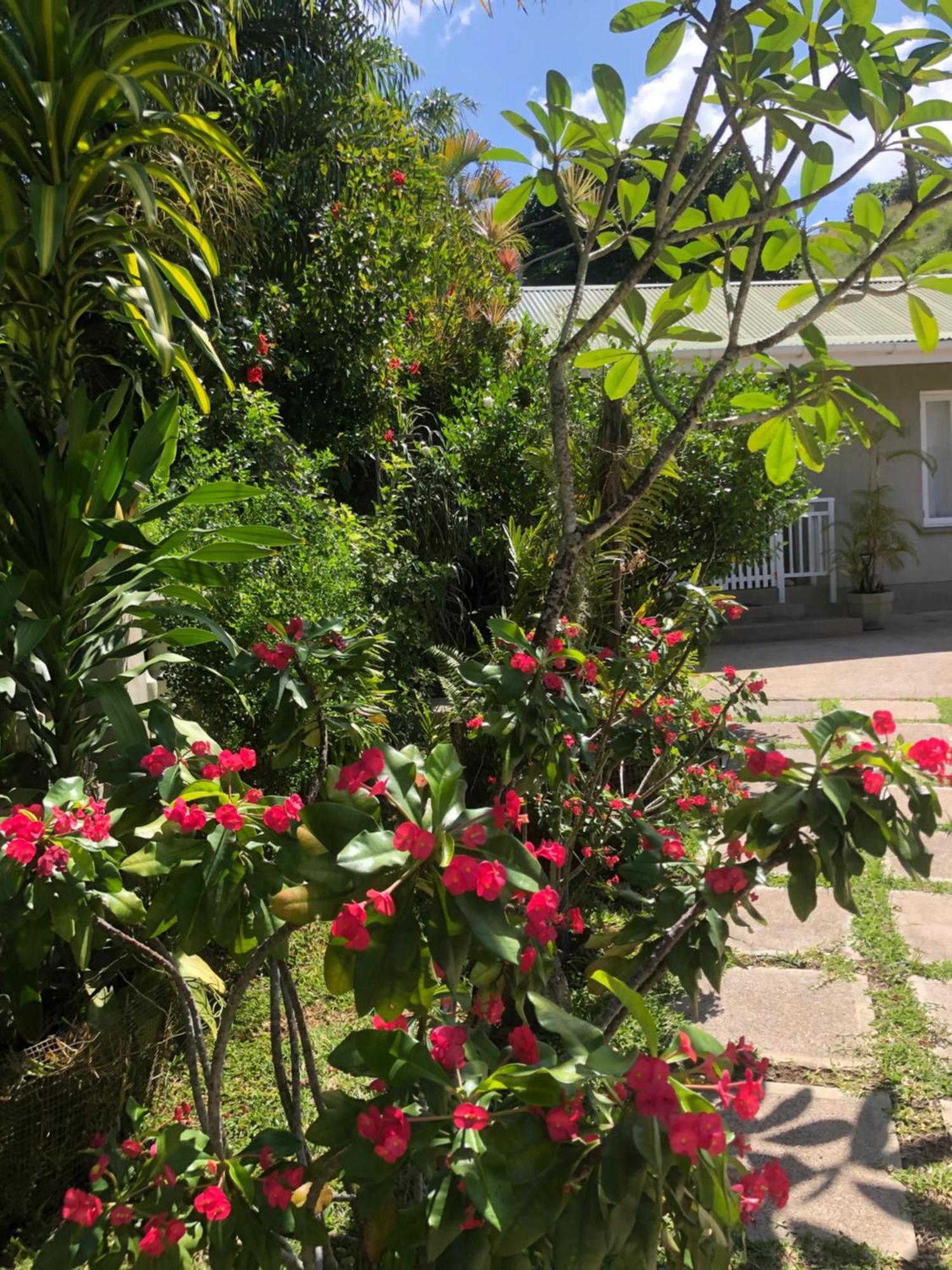 Sunbird Bungalow Anse Boileau Bagian luar foto